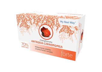 Antrodia Camphorata 70% grybų peptidinis polisacharido ekstraktas