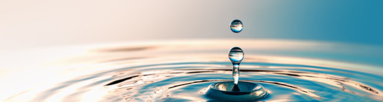 Stipri šlapimo sistemos sveikata – geros savijautos pagrindas